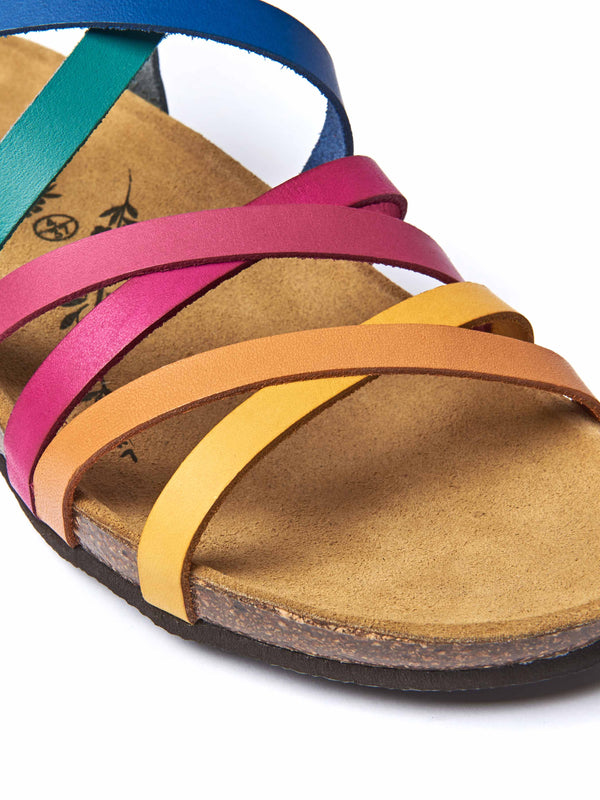 GINGER ALE RAINBOW MULTI