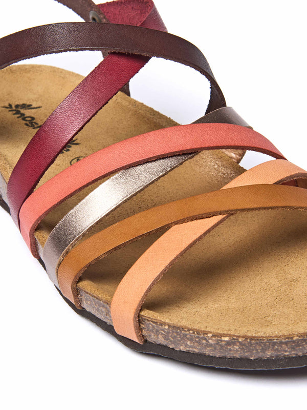 GINGER ALE BROWN MULTI