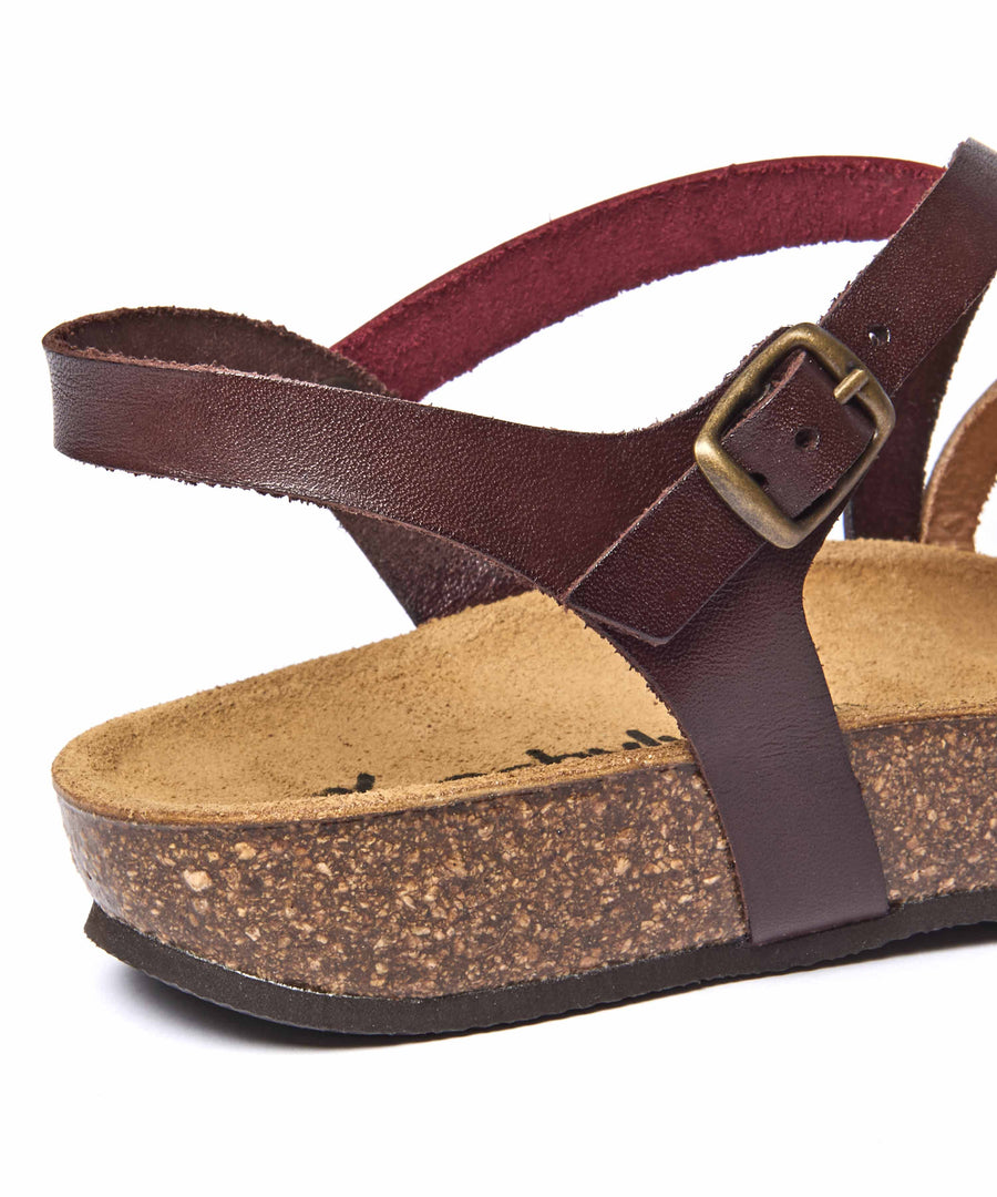 GINGER ALE BROWN MULTI