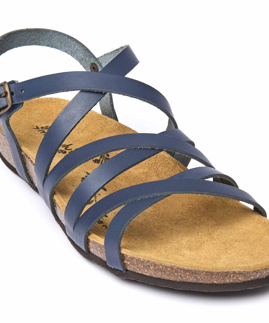 GINGER ALE INDIGO