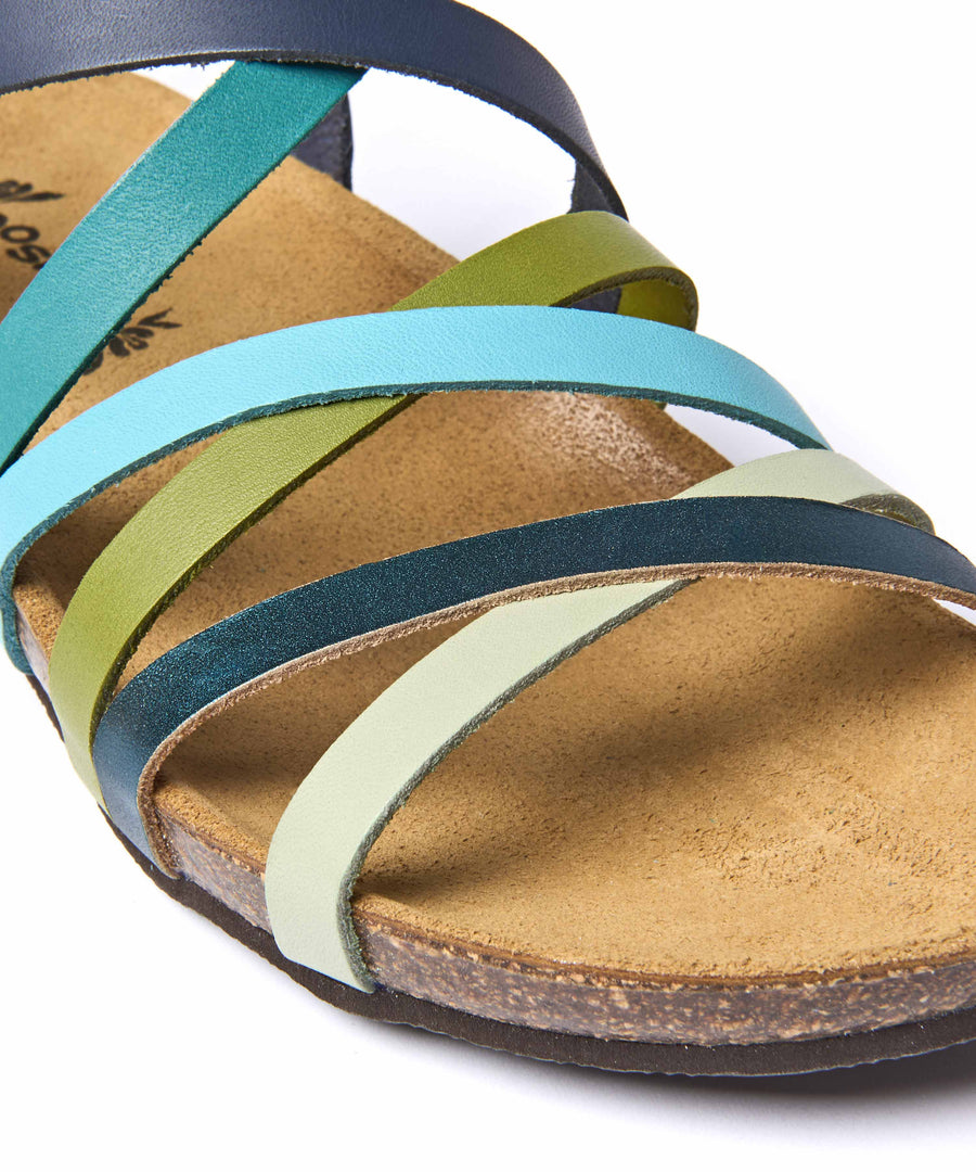 GINGER ALE MARINE TEAL MULTI