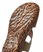 SOUK FERN