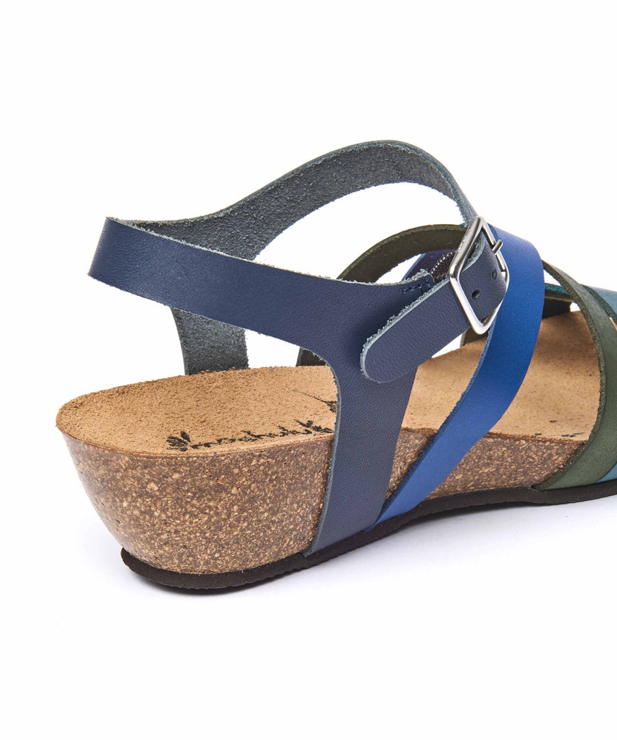 ZILLA BLUE MULTI