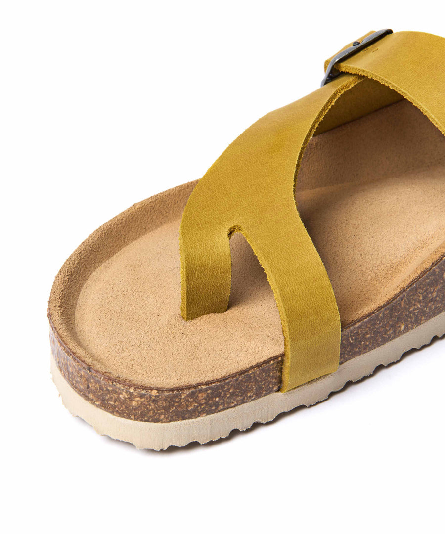 WILMA WAXY YELLOW