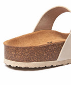 WILMA WAXY SAND