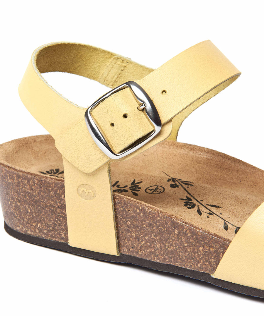 BIGBURY 2 PRIMROSE YELLOW