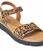 PHILLY LEOPARD PRINT