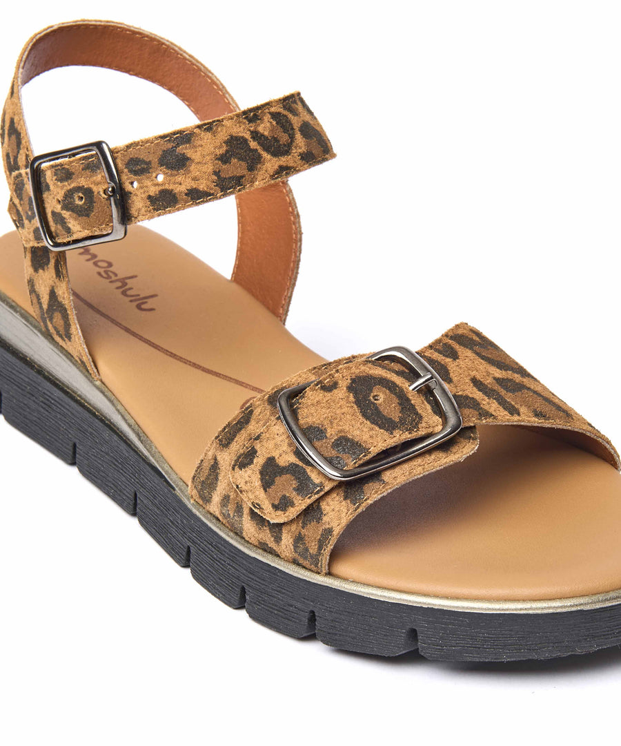 PHILLY LEOPARD PRINT