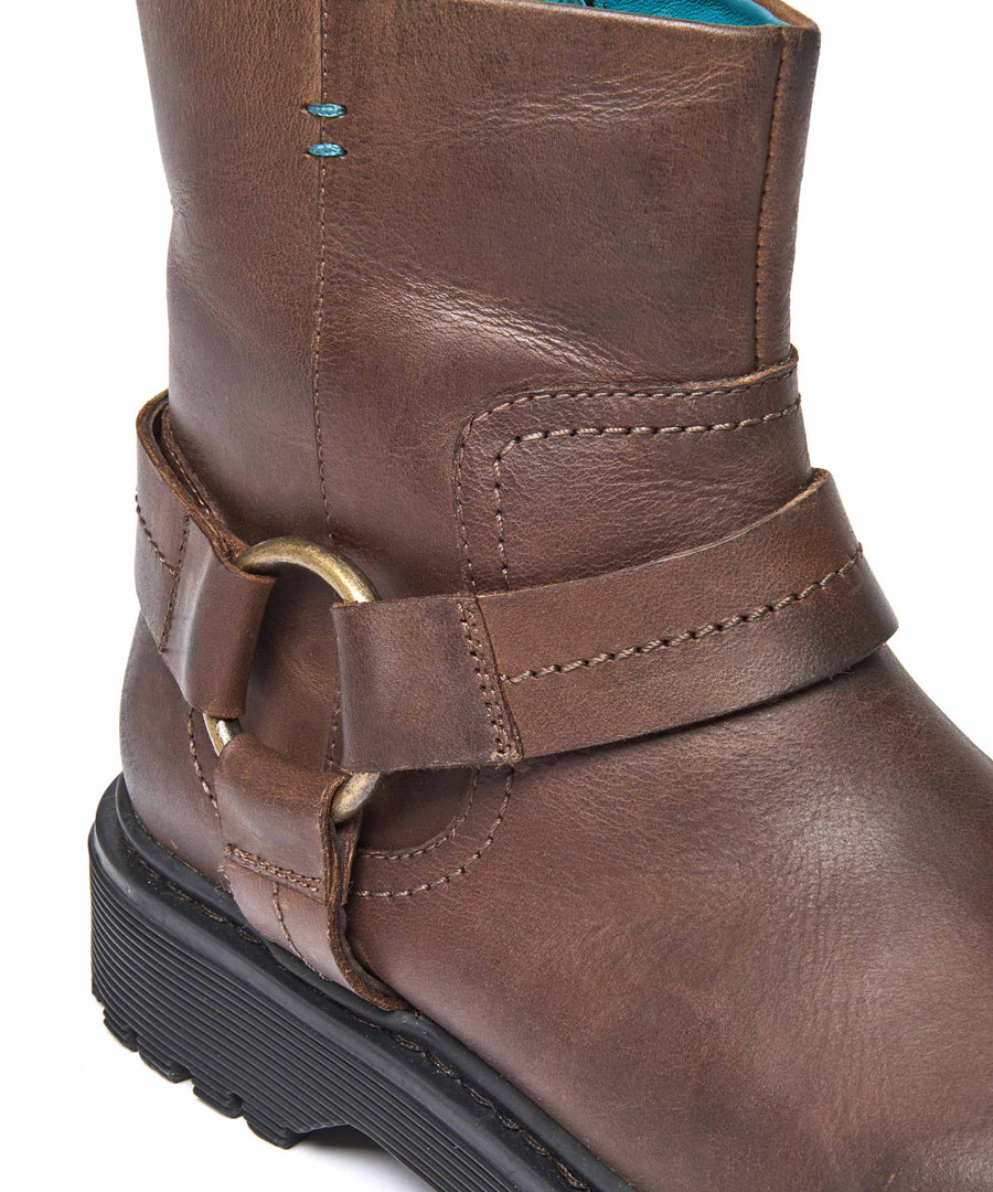 CAPE BROWN WAXY