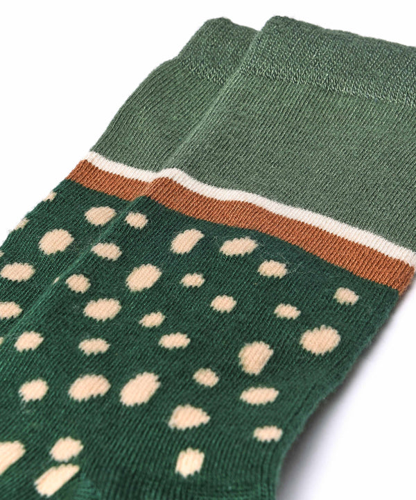 PLECO PINE GREEN SPOT