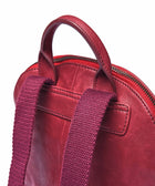 CARNEDD ZINFANDEL RED LEATHER