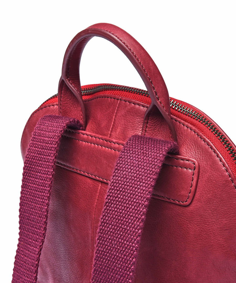 CARNEDD ZINFANDEL RED LEATHER