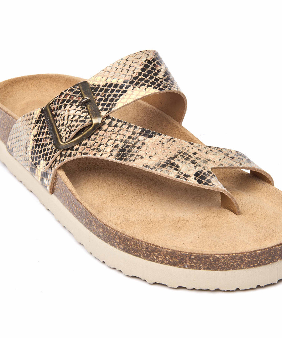 WILMA BOLD SNAKE PRINT