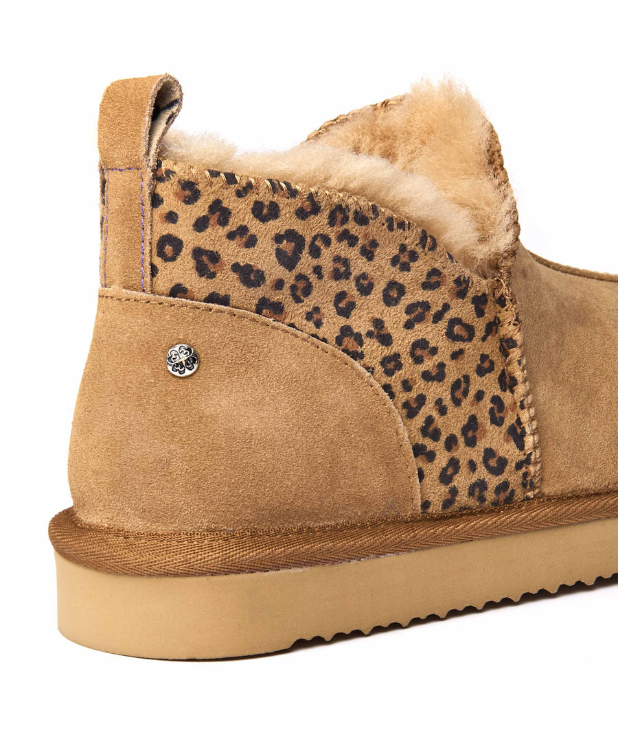 BOLBERRY TAN LEOPARD