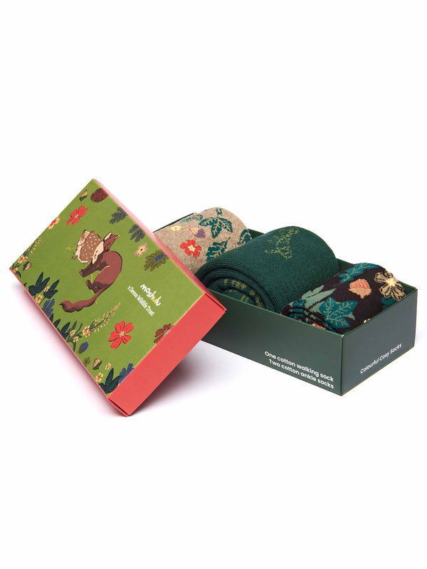 Multi nature patterned ladies sock box - DEVON WILDLIFE TRUST SOCK BOX ACORN BLOOM