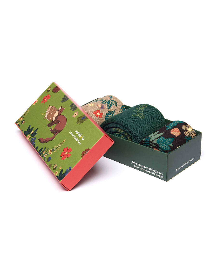 DEVON WILDLIFE TRUST SOCK BOX ACORN BLOOM
