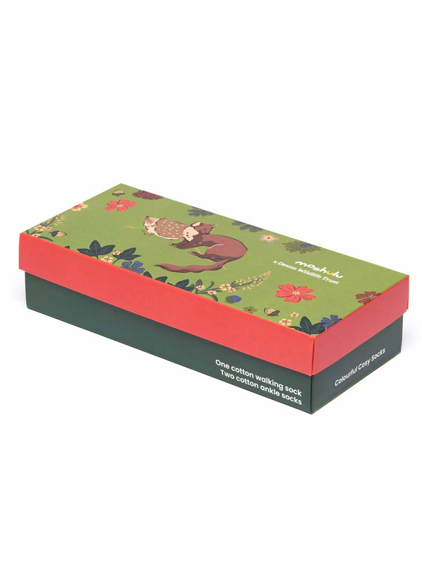 Multi nature patterned ladies sock box - DEVON WILDLIFE TRUST SOCK BOX ACORN BLOOM