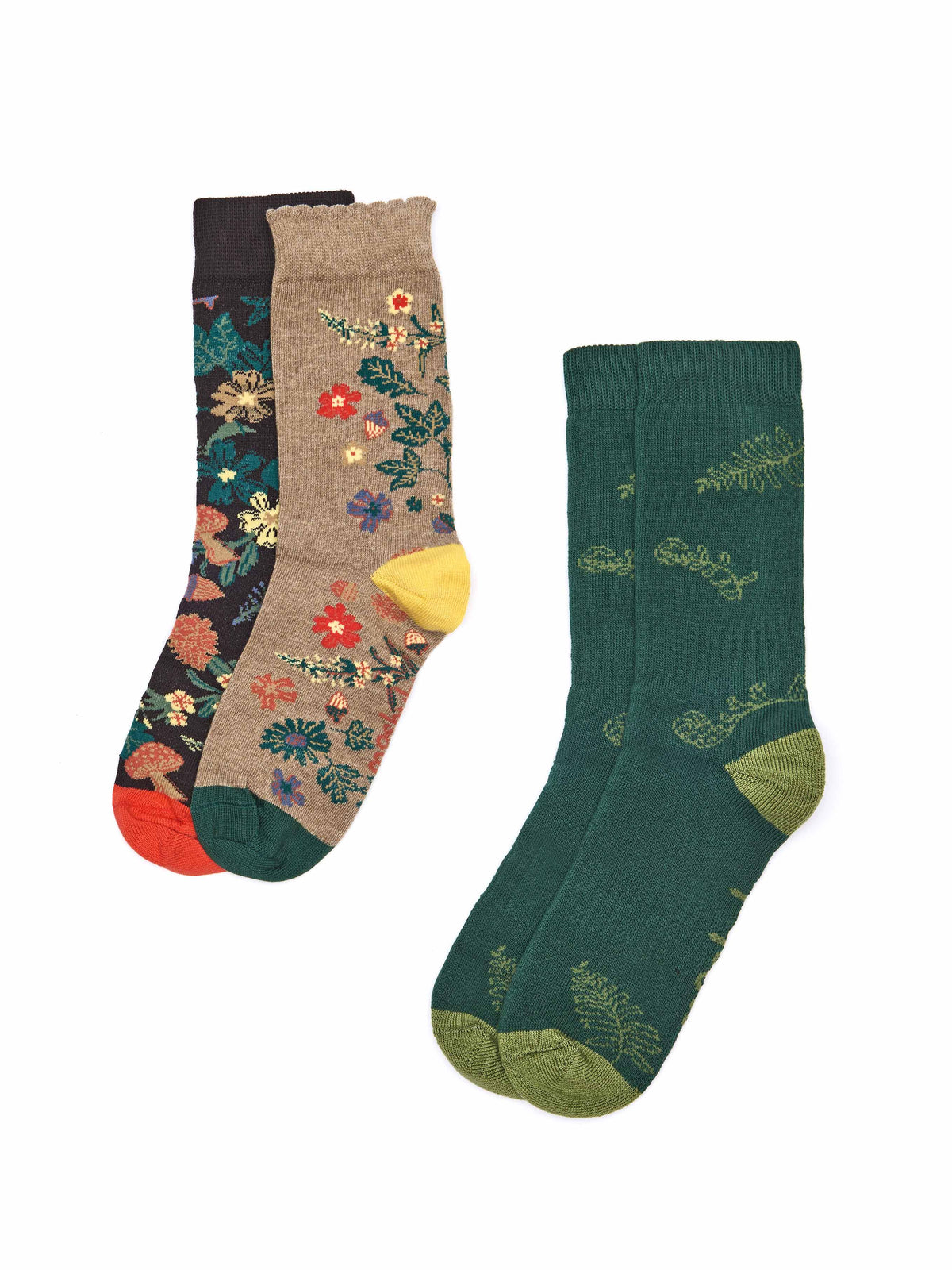 Multi nature patterned ladies sock box - DEVON WILDLIFE TRUST SOCK BOX ACORN BLOOM