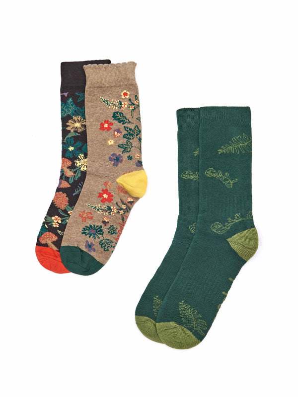 Multi nature patterned ladies sock box - DEVON WILDLIFE TRUST SOCK BOX ACORN BLOOM