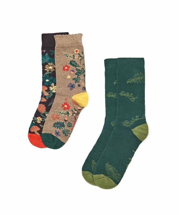 DEVON WILDLIFE TRUST SOCK BOX ACORN BLOOM