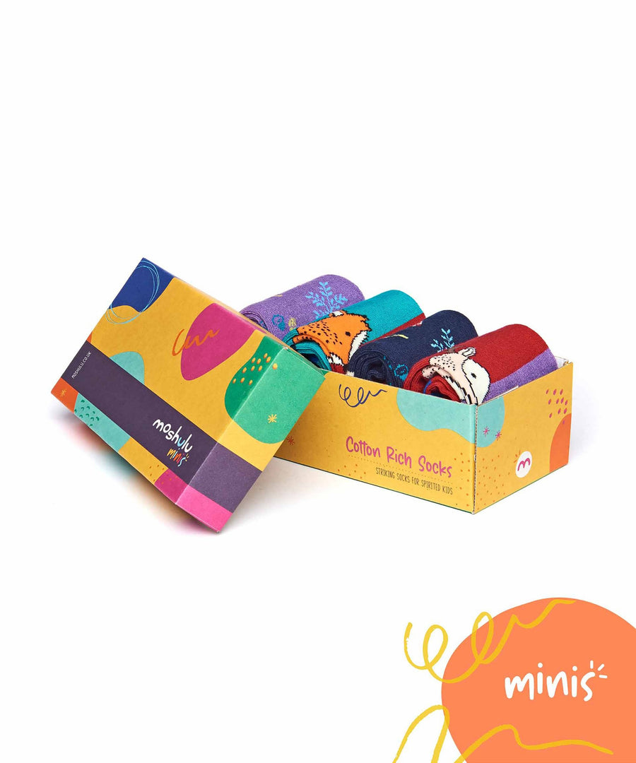 NUTKIN SOCK BOX MULTI