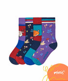 NUTKIN SOCK BOX MULTI