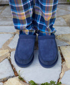 DORPER GREY