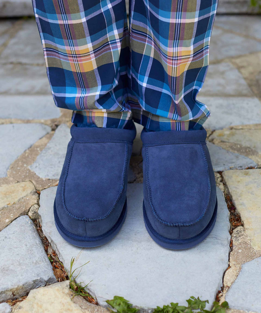 DORPER GREY