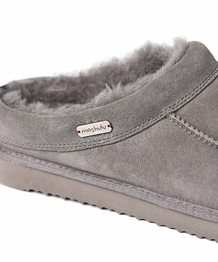 DORPER GREY
