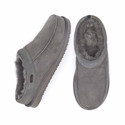 DORPER GREY