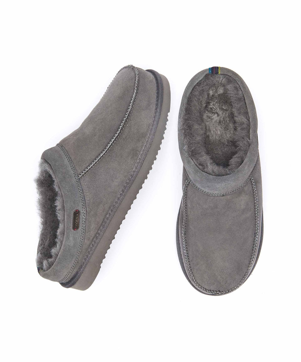 DORPER GREY