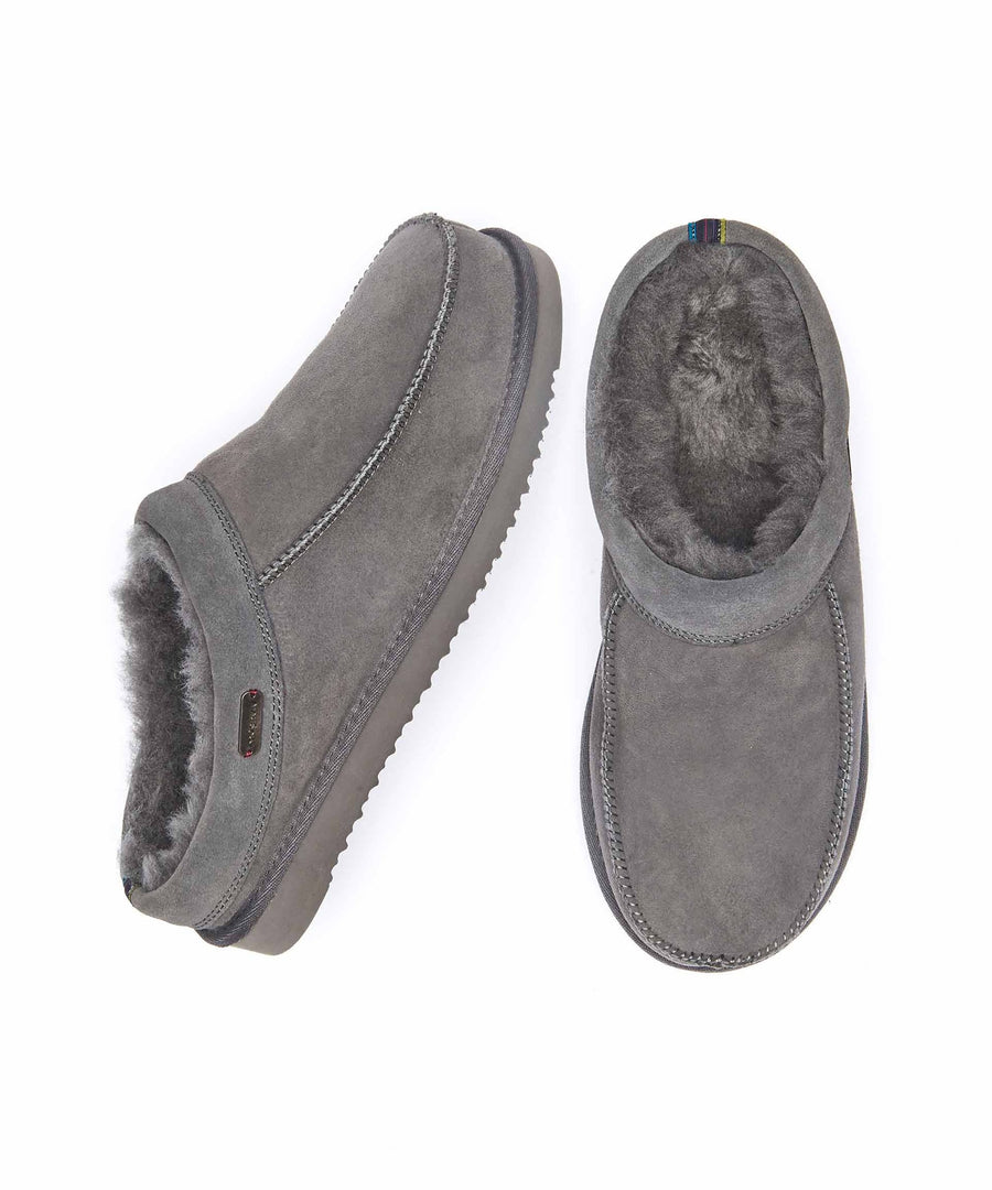 DORPER GREY
