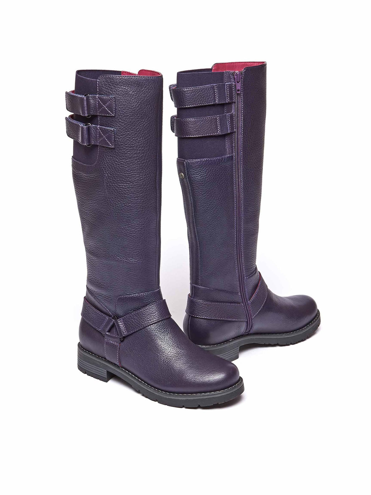 Purple HALDON - HALDON JEWEL PURPLE