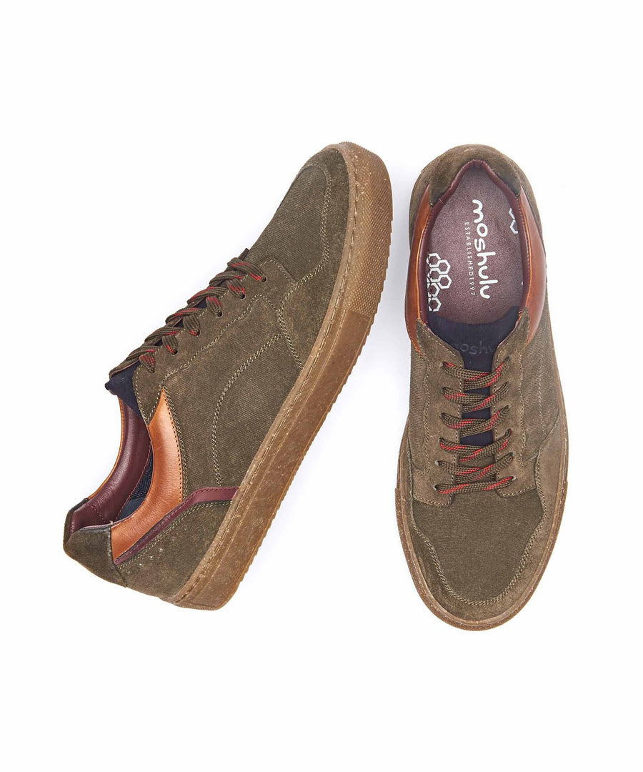 TAUNUS OLIVE
