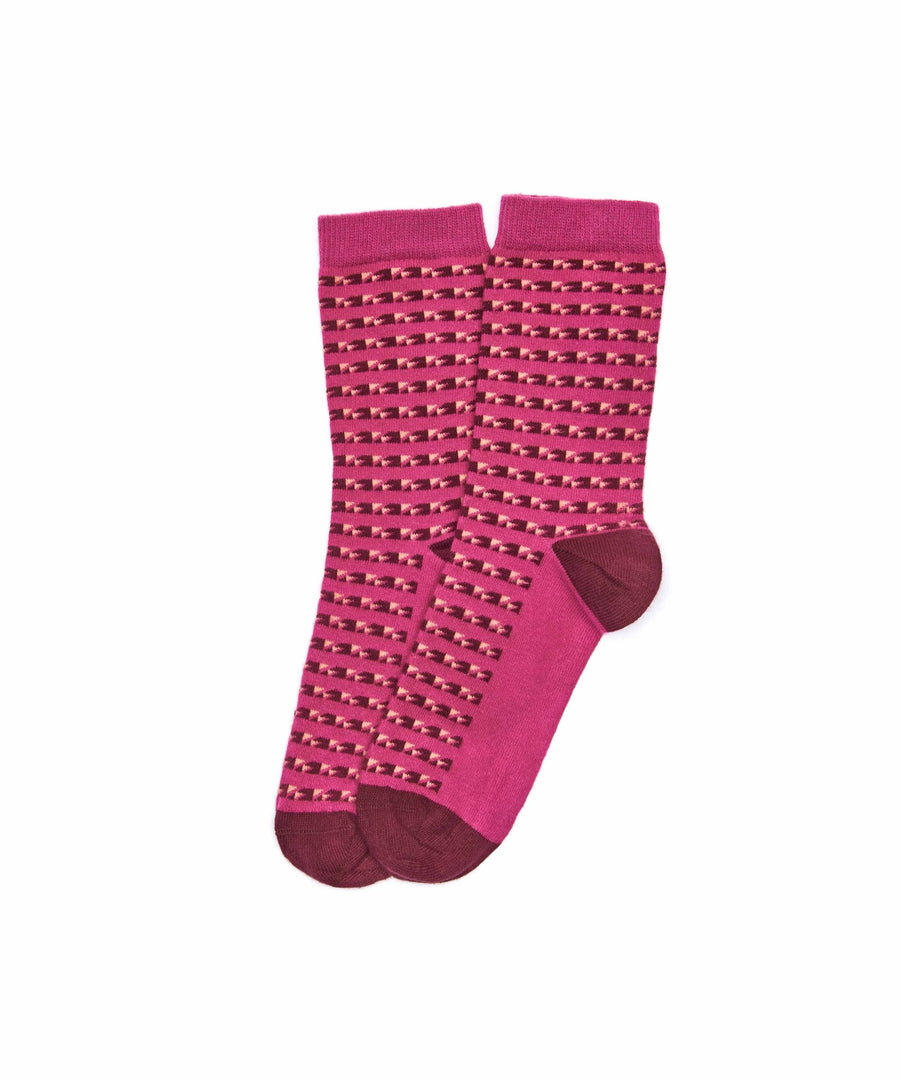 PLATY FUCHSIA PINK