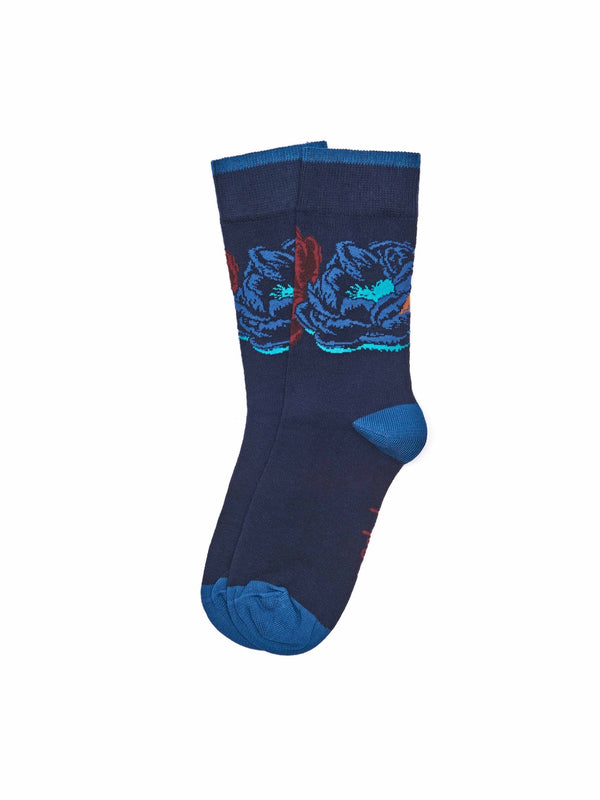 DANIO INDIGO