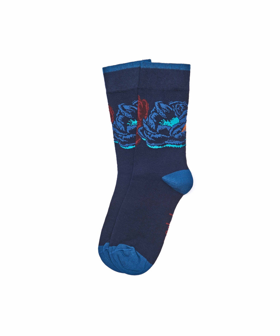 DANIO INDIGO