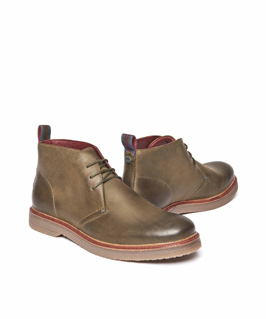 SHEPPARD OLIVE
