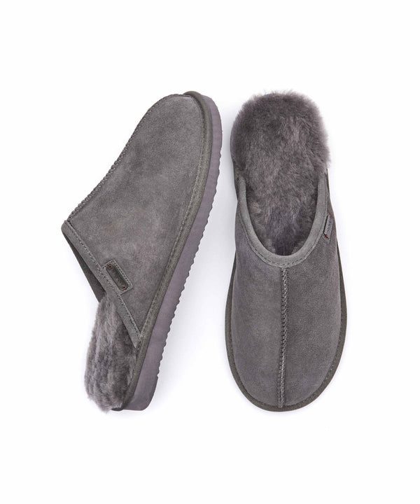 FOXTAIL GREY