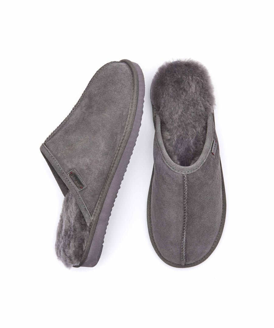 FOXTAIL GREY