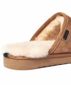 FOXTAIL GREY