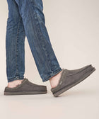 DORPER GREY