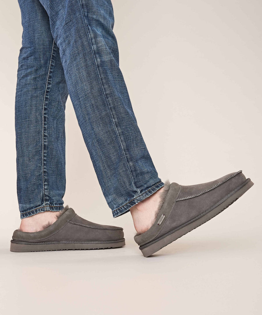 DORPER GREY