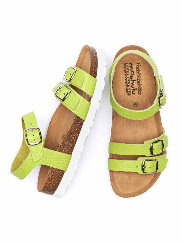 ELBURY CHARTREUSE