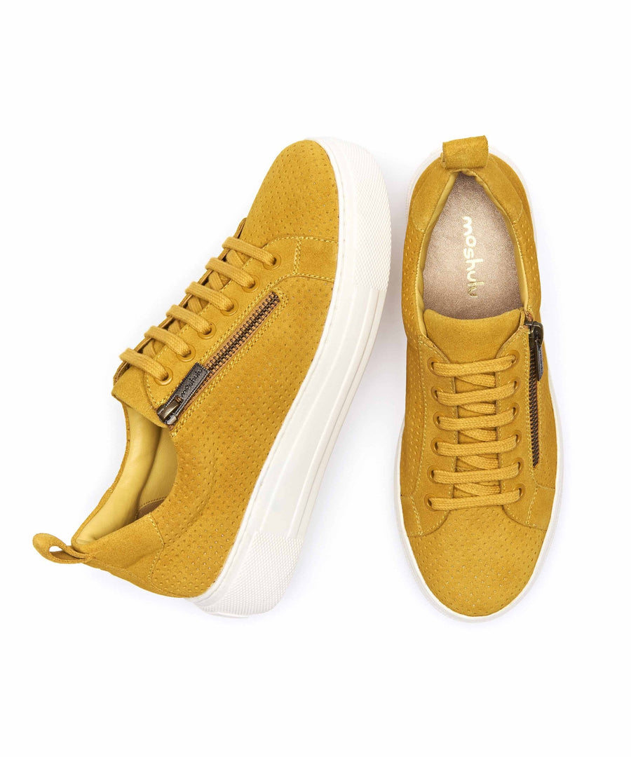 DAWLISH YELLOW