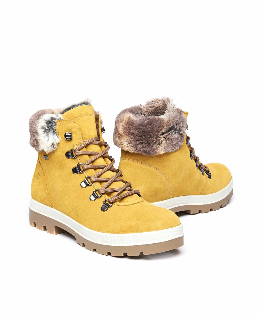 BEDEW YELLOW