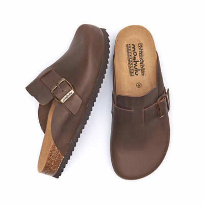 TULIPA WAXY CHOCOLATE