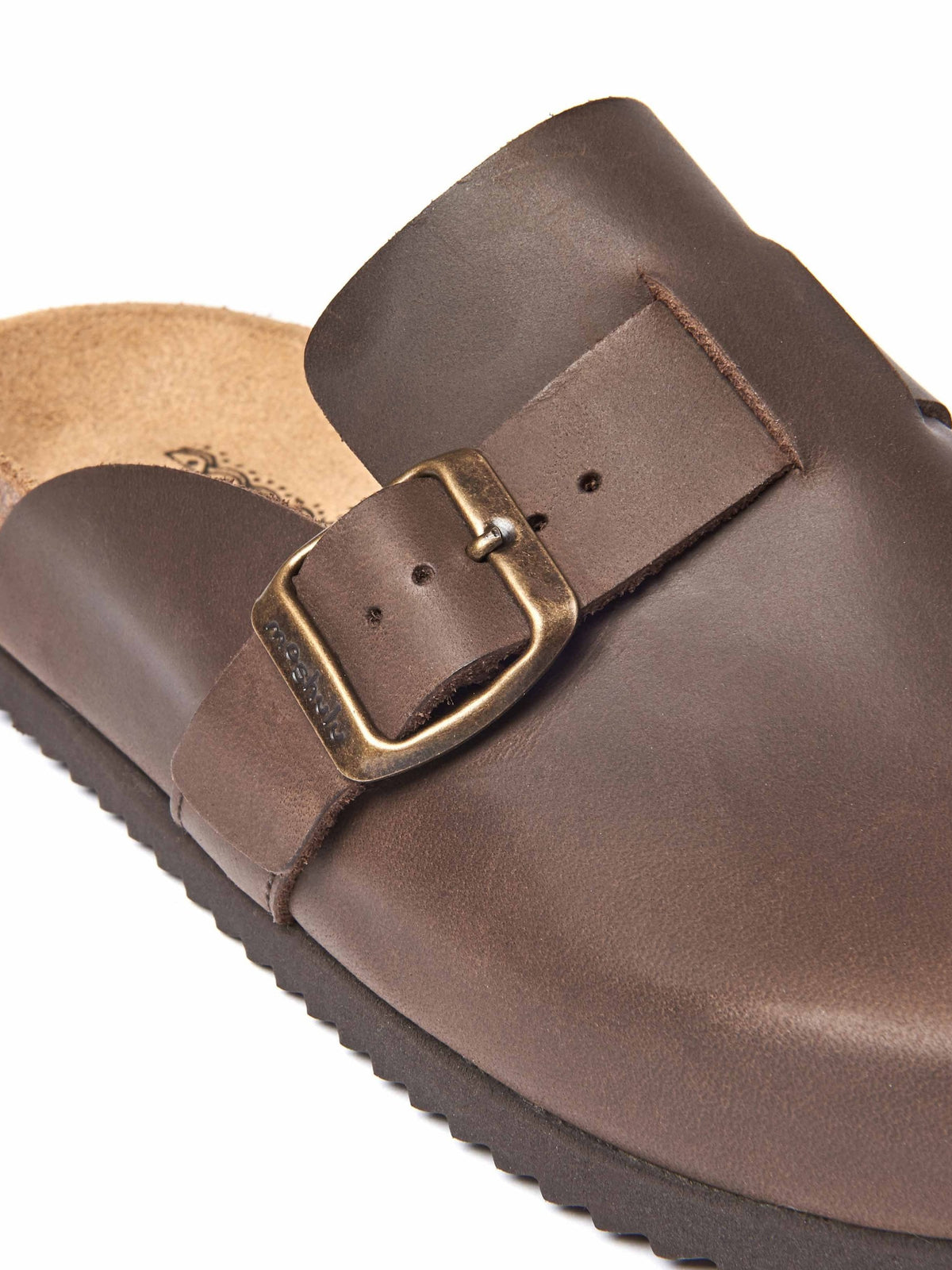 TULIPA WAXY CHOCOLATE