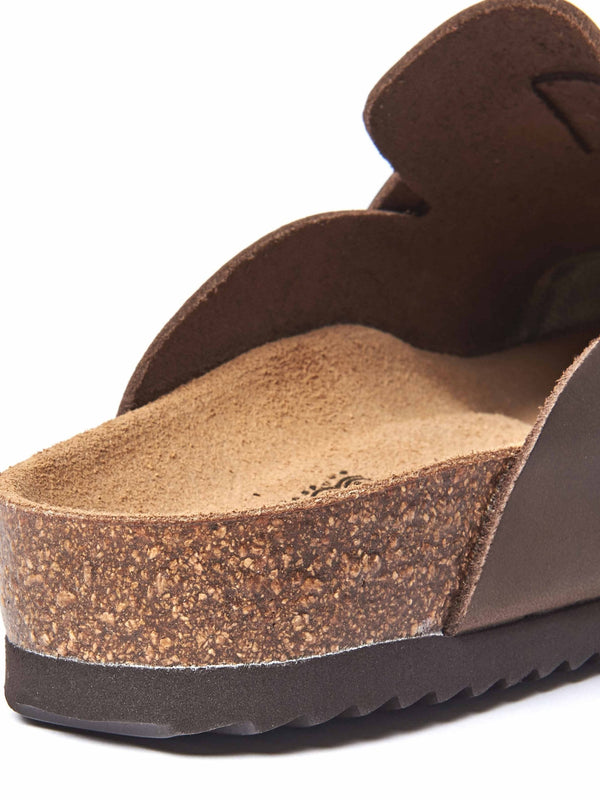 TULIPA WAXY CHOCOLATE