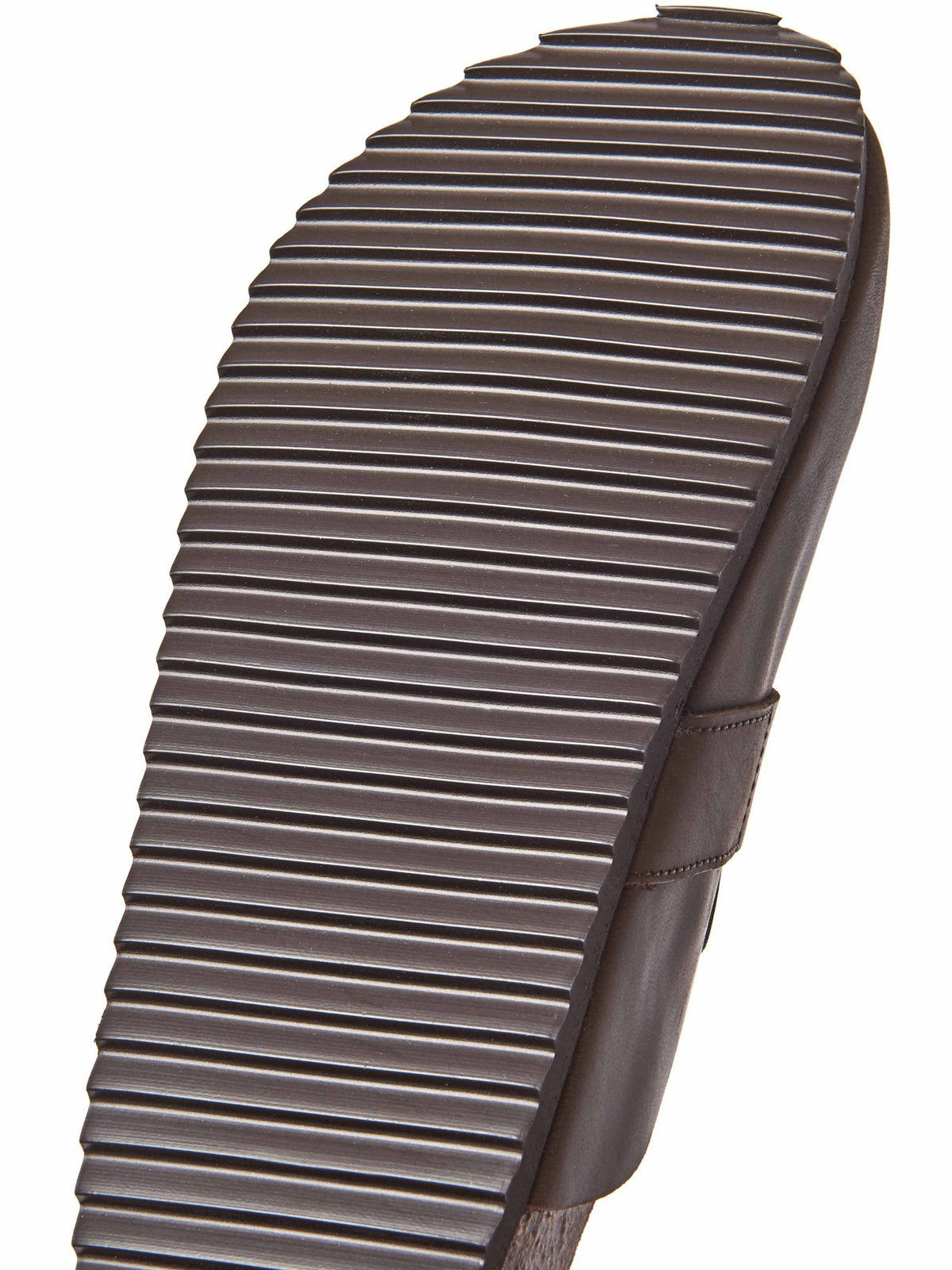 TULIPA WAXY CHOCOLATE